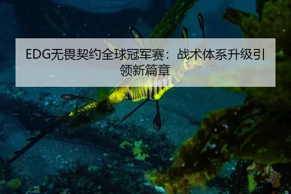 EDG无畏契约全球冠军赛：战术体系升级引领新篇章